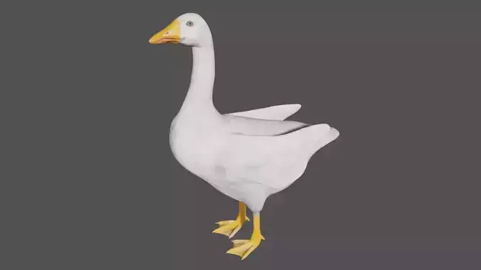 Canadian Goose  3D model