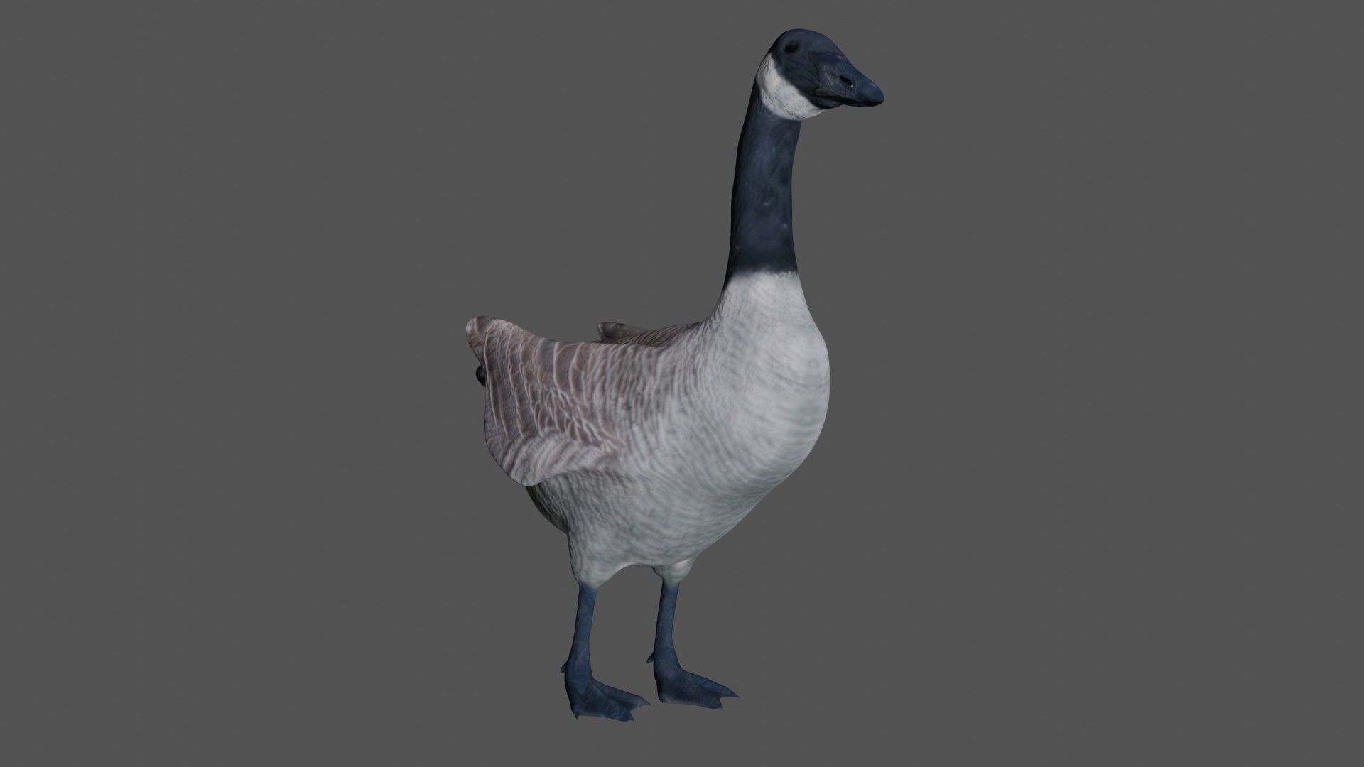 Canadian Goose  3D model_5