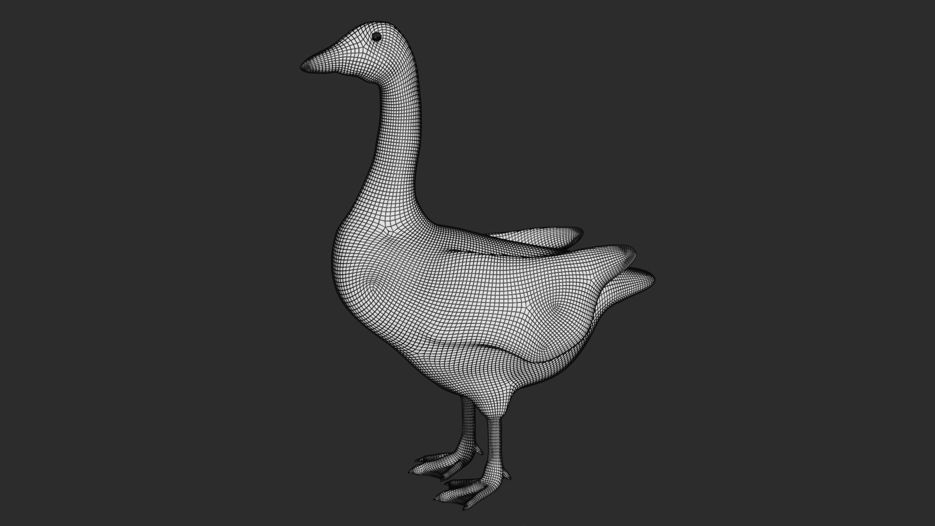 Canadian Goose  3D model_7