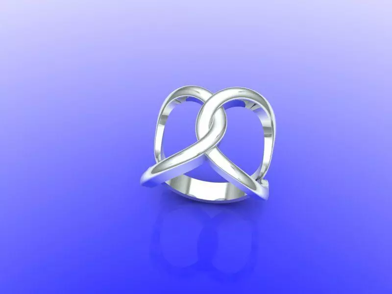 ring orient 3  3D print model_0