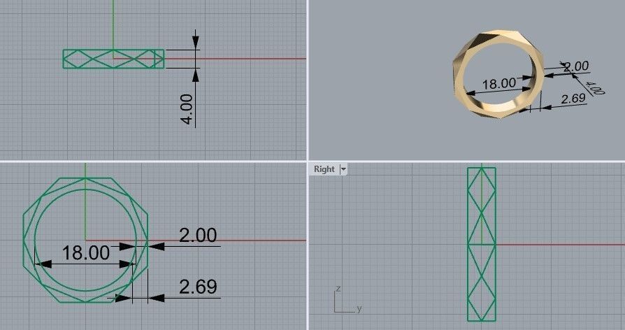 octagon ring  3D print model_1