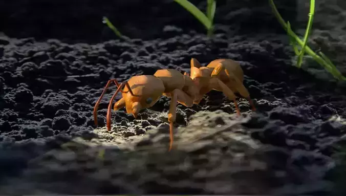 Animated walking ant lowpoly Free low-poly 3D model