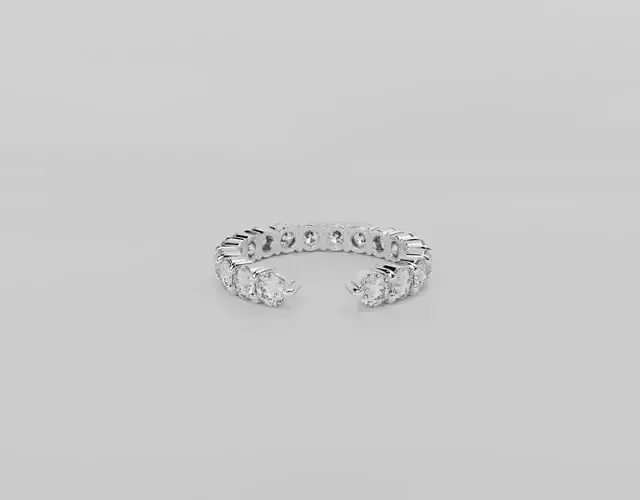 Half Eternity Band 