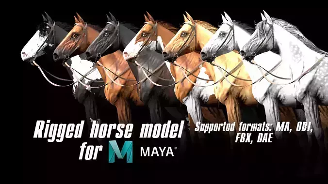 Horse rigged model for Maya
