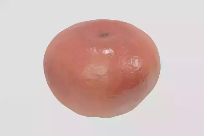 Fruit 9 Orange 3D scan PBR 4K textures