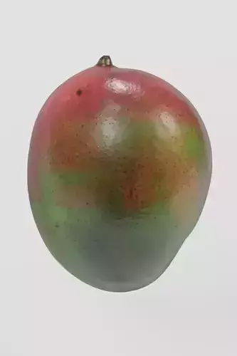 Fruit 8 Mango 3D scan PBR 4K textures
