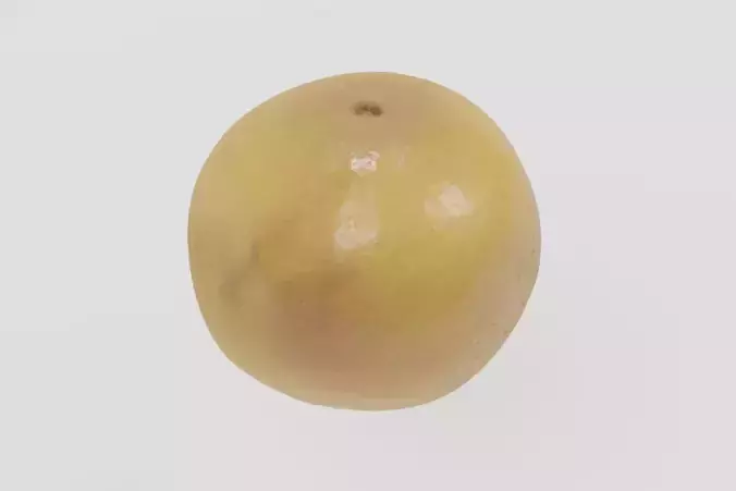 Fruit 6 Grapefruit 3D scan PBR 4K textures