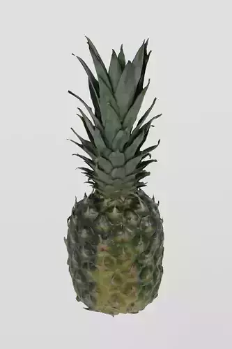 Fruit 3 Pineapple  3D scan PBR 4K textures