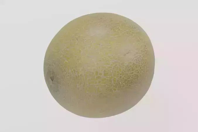 Fruit 2 Galia Melon 3D scan PBR 4K textures