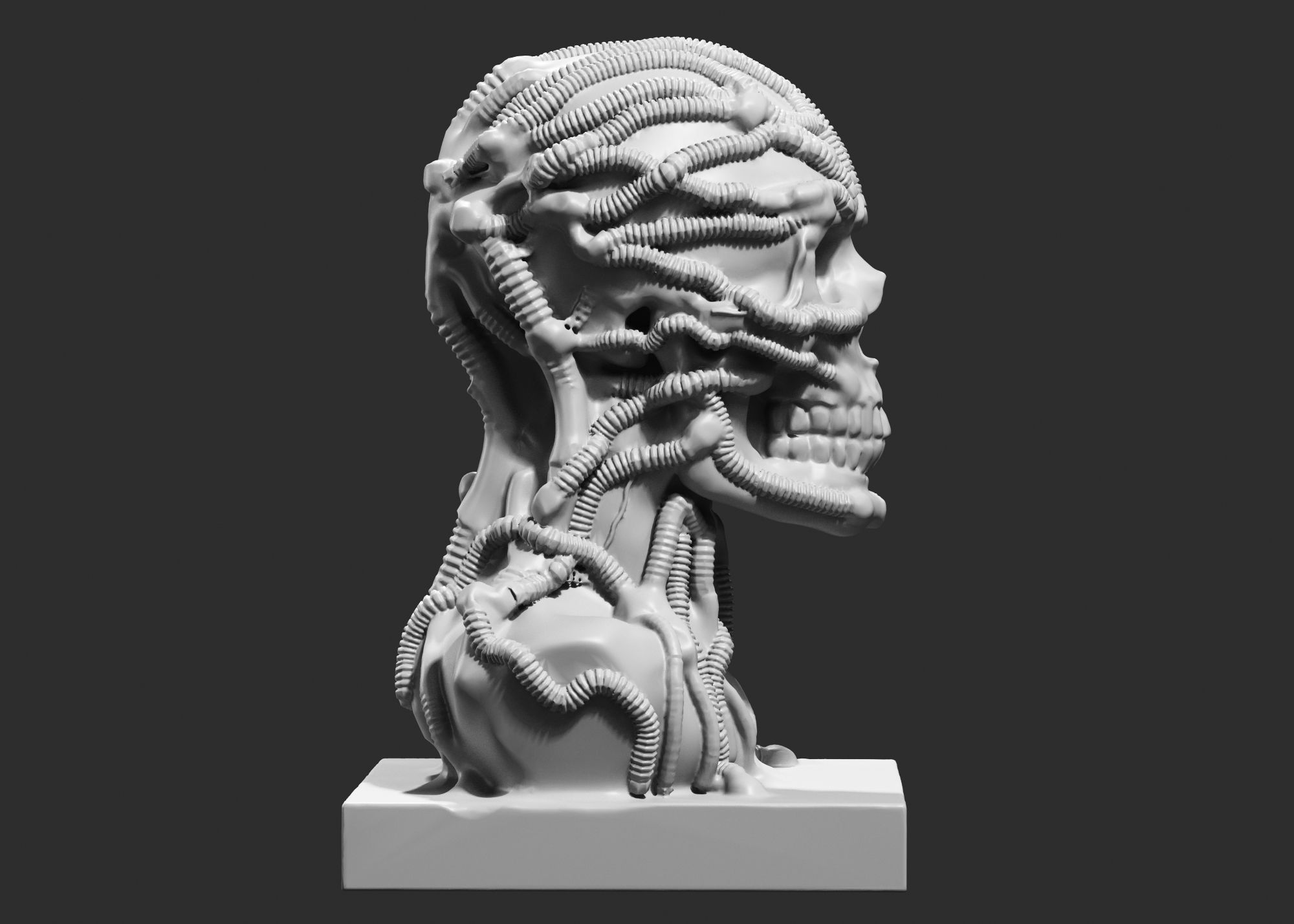 Skull 3d print model 100 3D print model_2