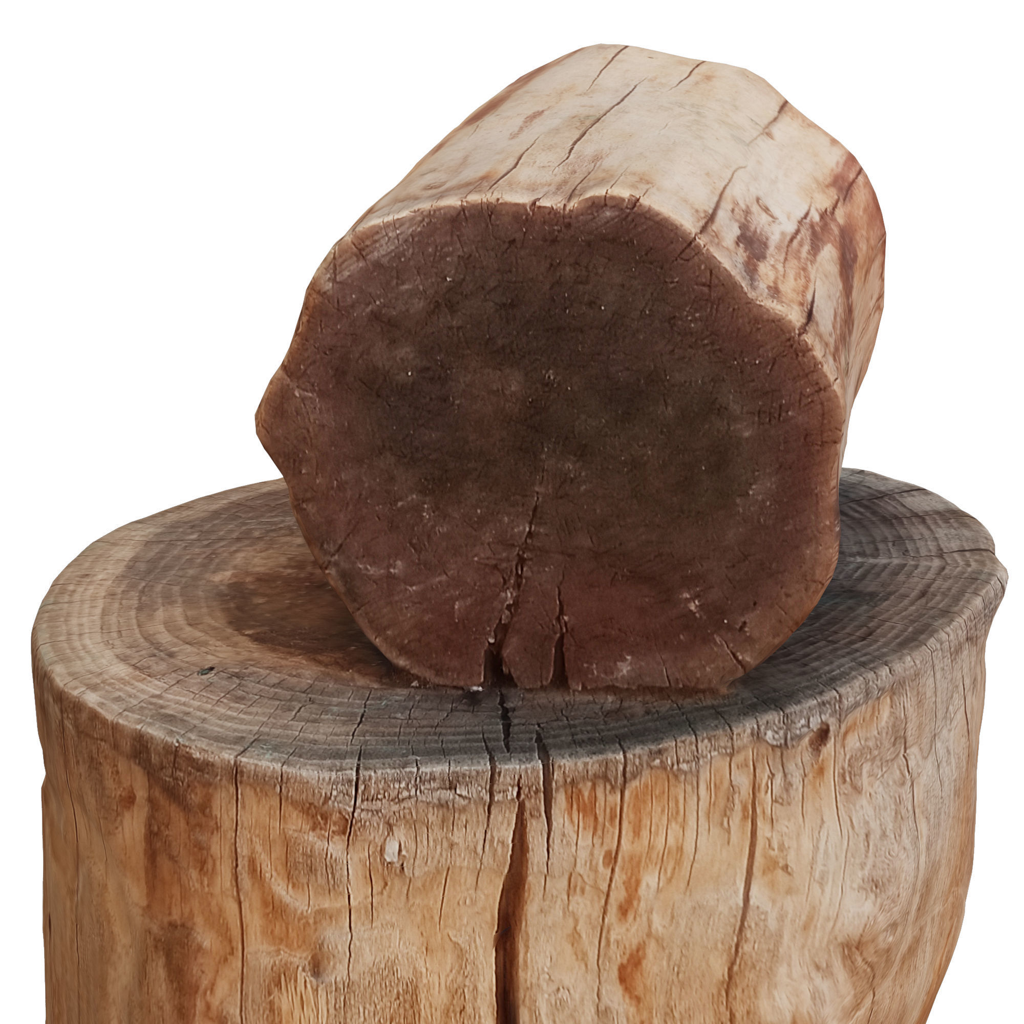 tree trunk 3 Low-poly 3D model_4