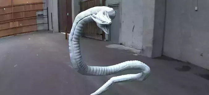 Snake Dragon 3D model