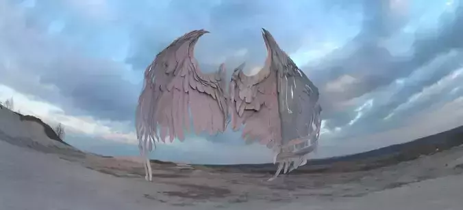 Angel wings wide wraps around