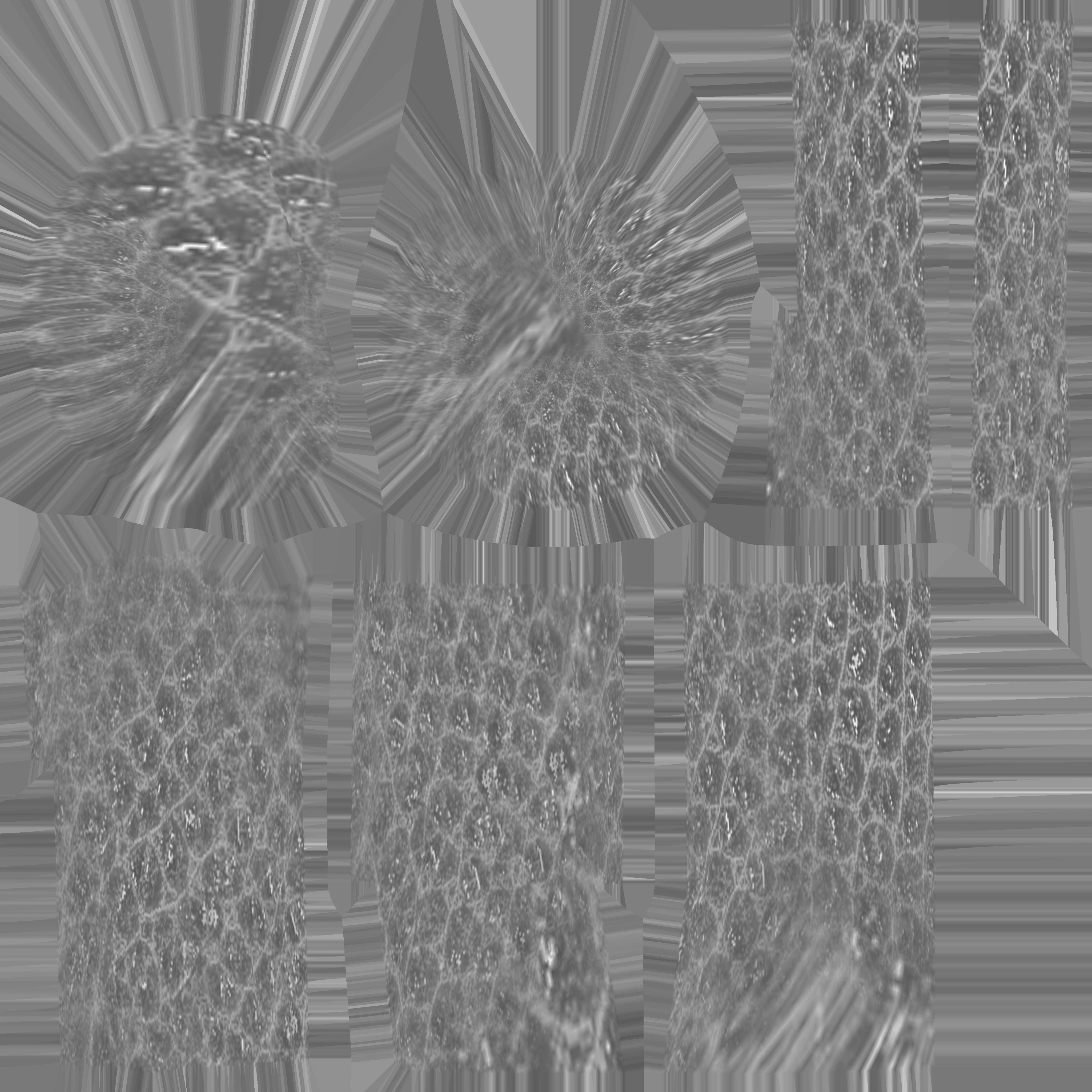 Dragon Born Character Model 3D model_3