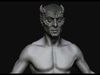 Base Mesh Male Anatomy 3D model_1