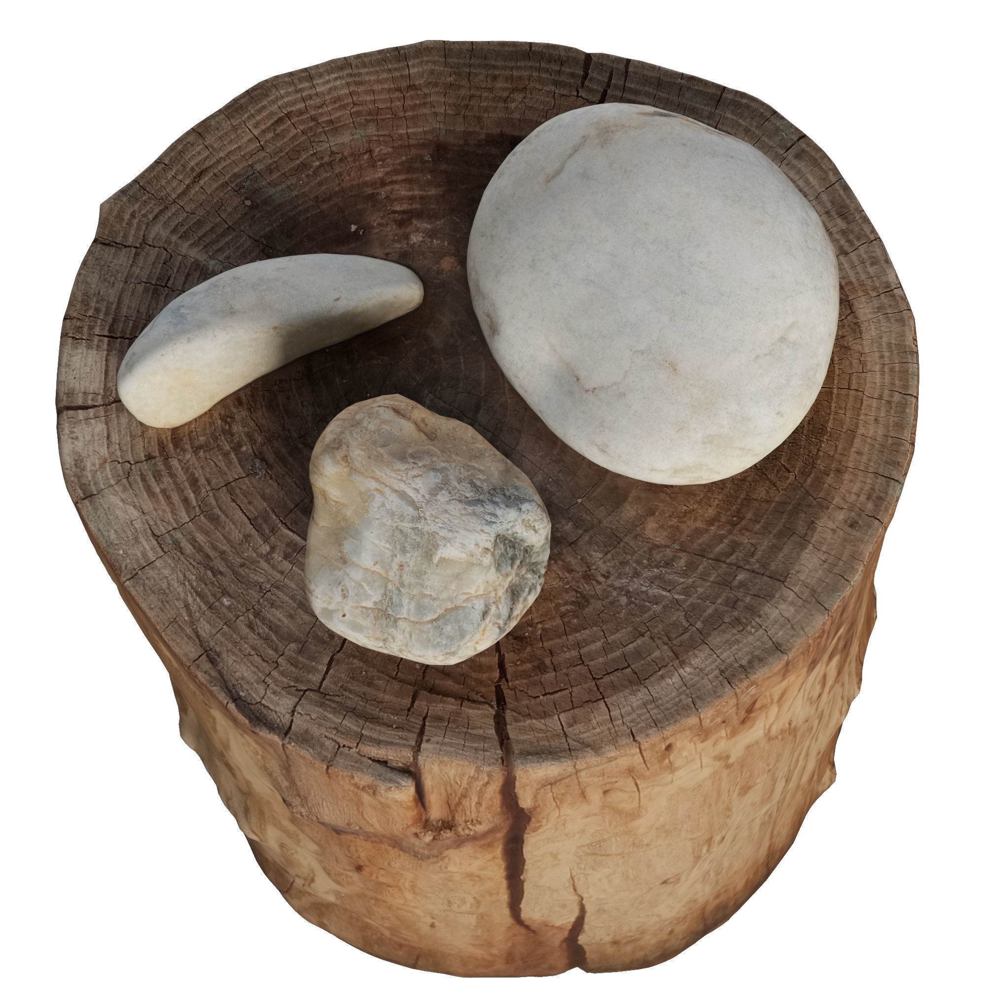 tree trunk stone 3 Low-poly 3D model_1