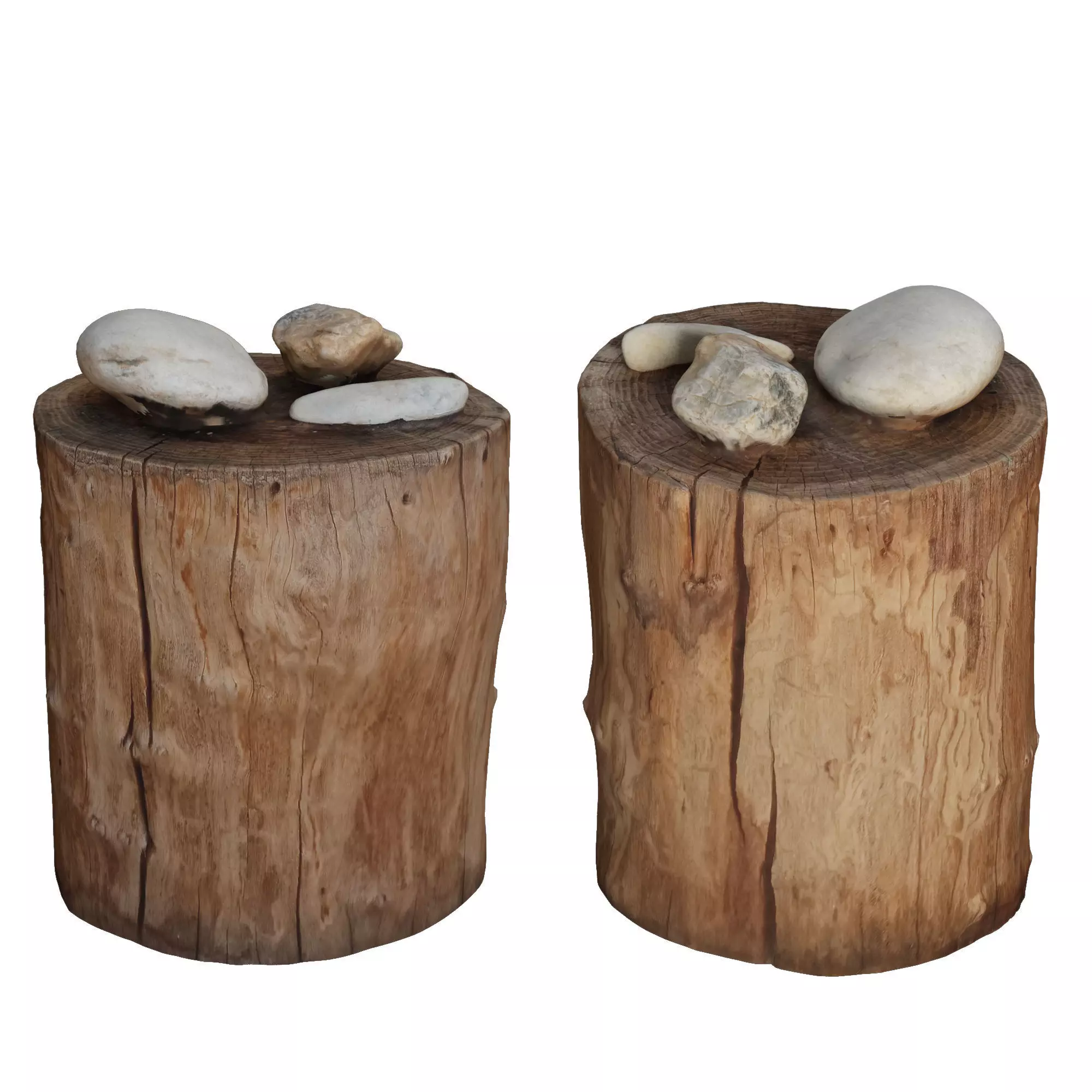 tree trunk stone 3 Low-poly 3D model_0