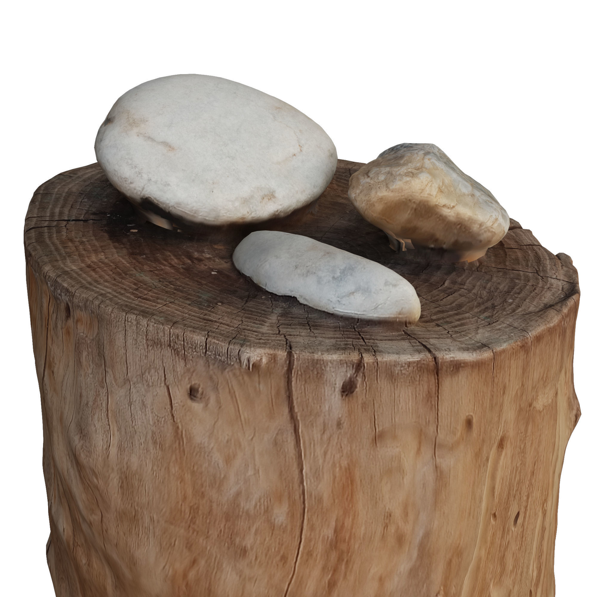 tree trunk stone 3 Low-poly 3D model_4