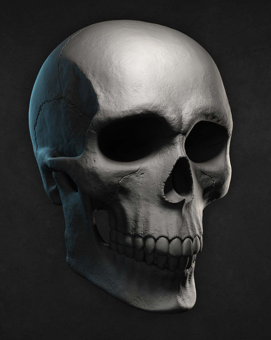Male Skull for 3D print 3D print model_6