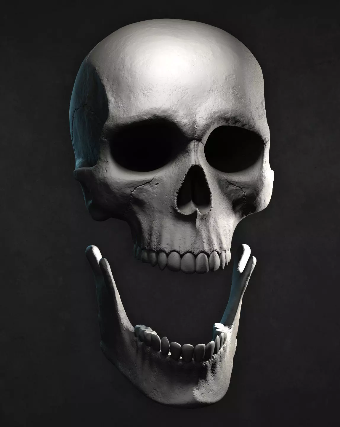 Male Skull for 3D print 3D print model_0