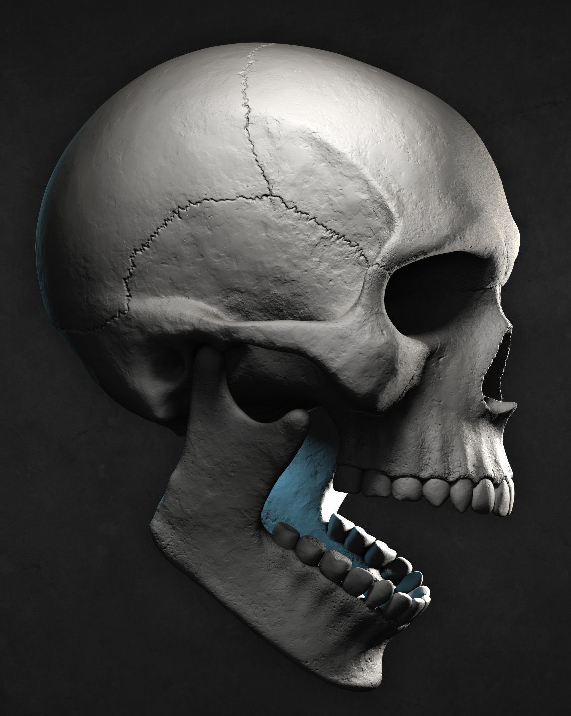 Male Skull for 3D print 3D print model_5