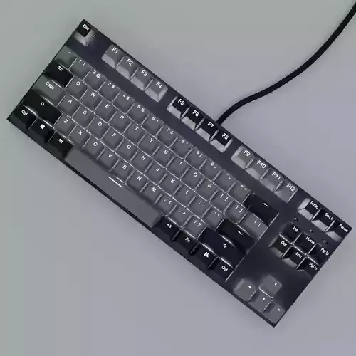 Black Gray Mechanical TKL Keyboard