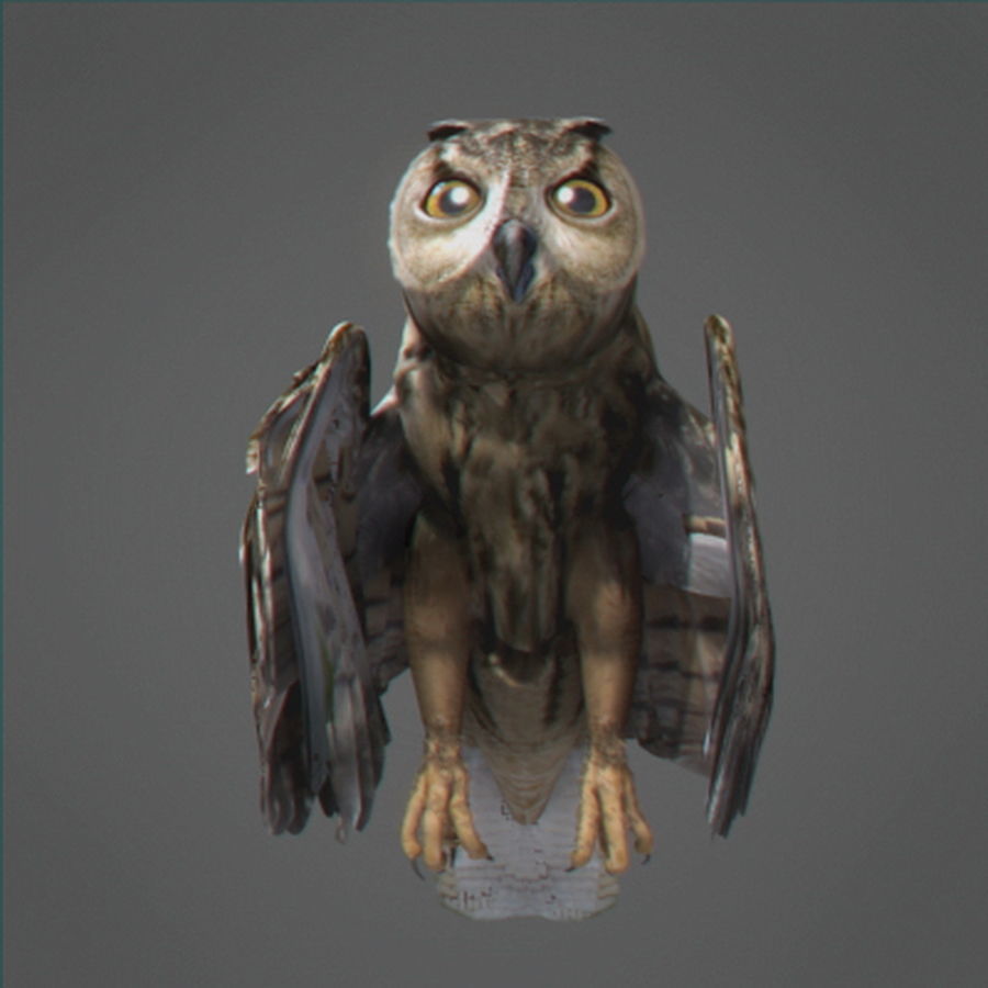 Animated Owl 3D model_9