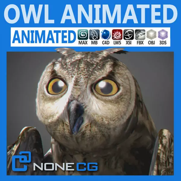 Animated Owl 3D model_0