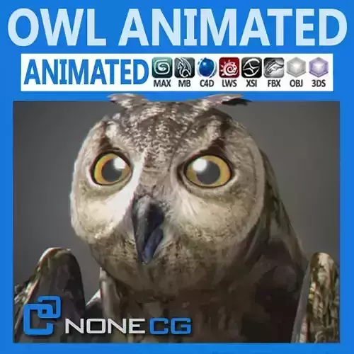 Animated Owl 3D model