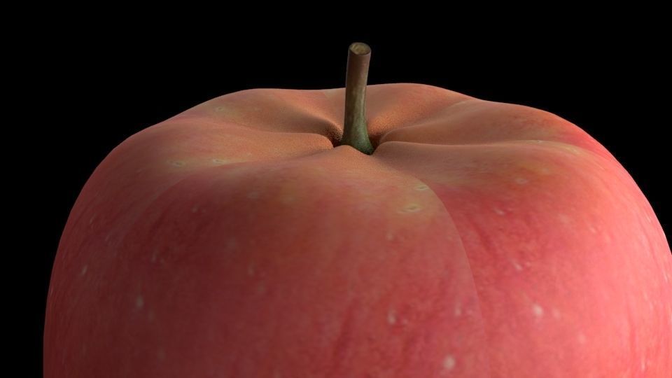 aplle apple 3D model_3