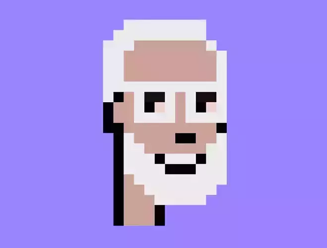 Crypto punk  NFT ready 