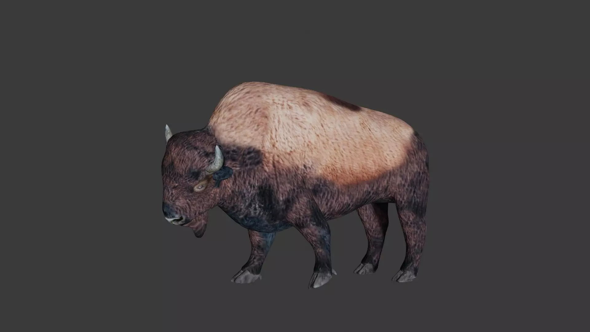 Bison Low-poly 3D model_0