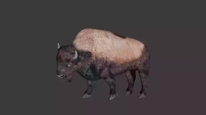 Bison Low-poly 3D model
