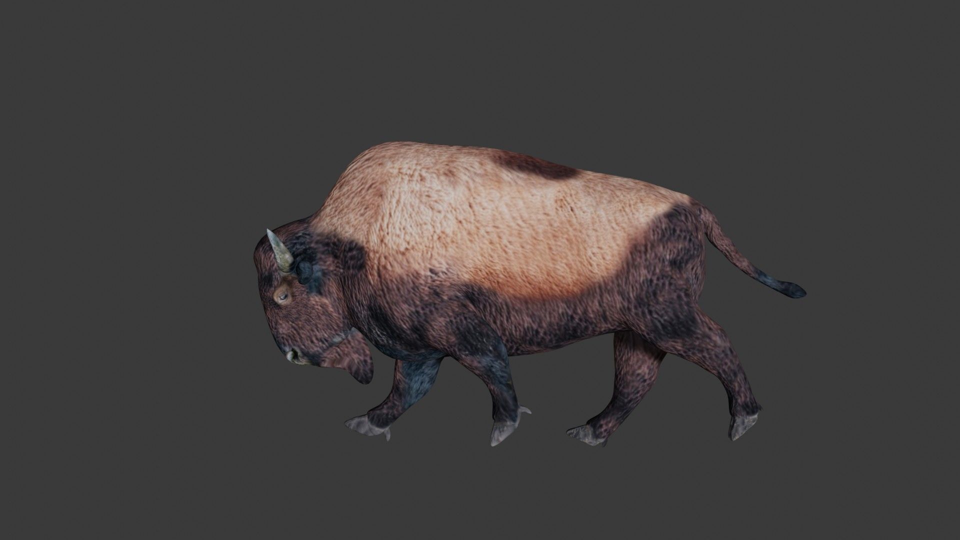 Bison Low-poly 3D model_4
