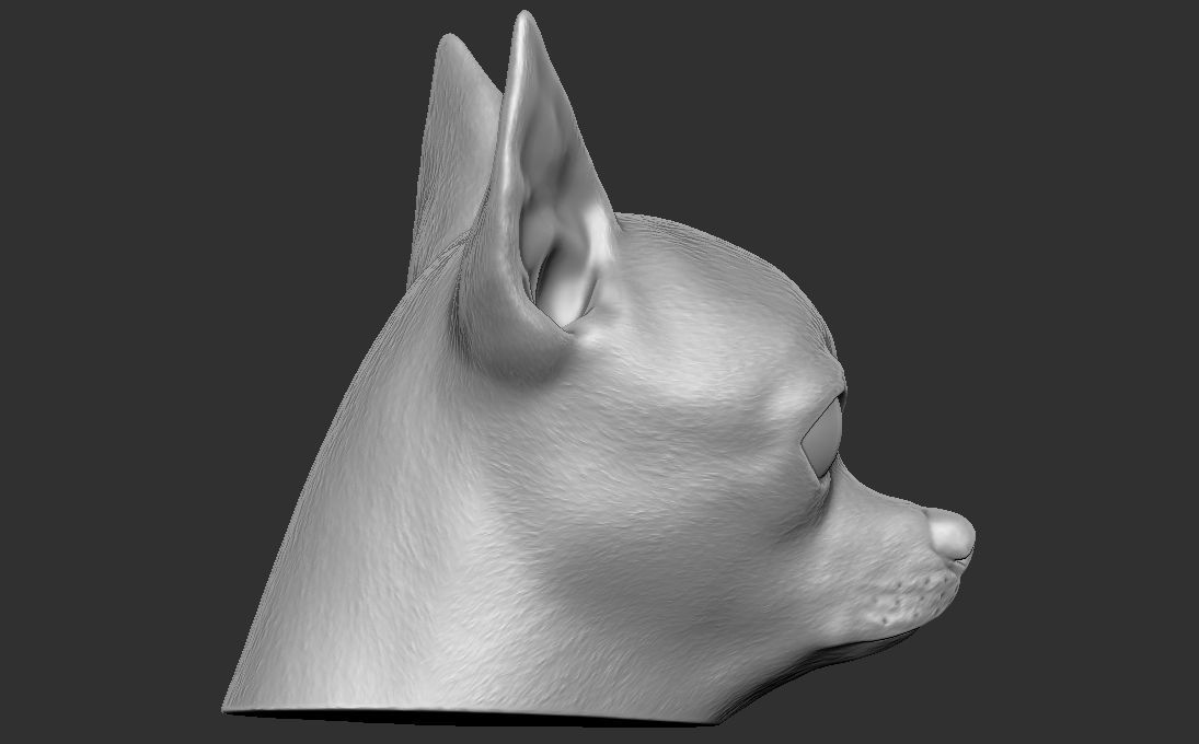 Chihuahua head for 3D printing 3D print model_14