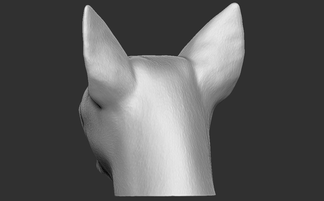 Chihuahua head for 3D printing 3D print model_11