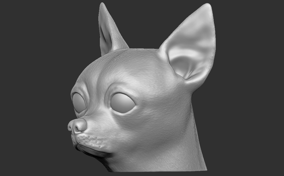 Chihuahua head for 3D printing 3D print model_7
