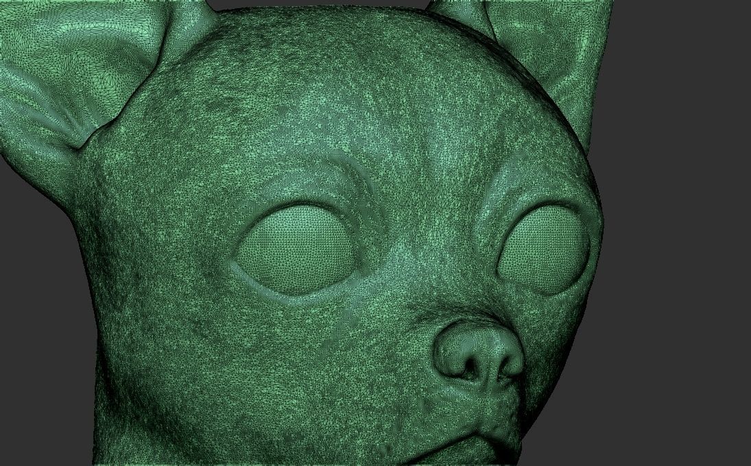 Chihuahua head for 3D printing 3D print model_25