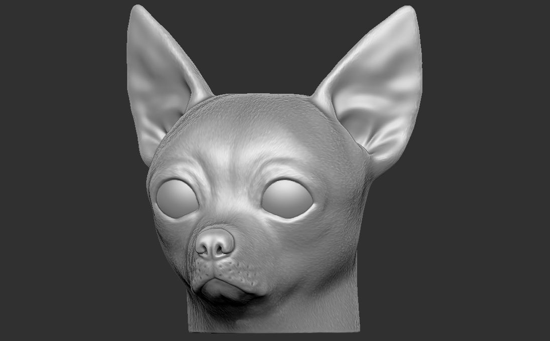 Chihuahua head for 3D printing 3D print model_5