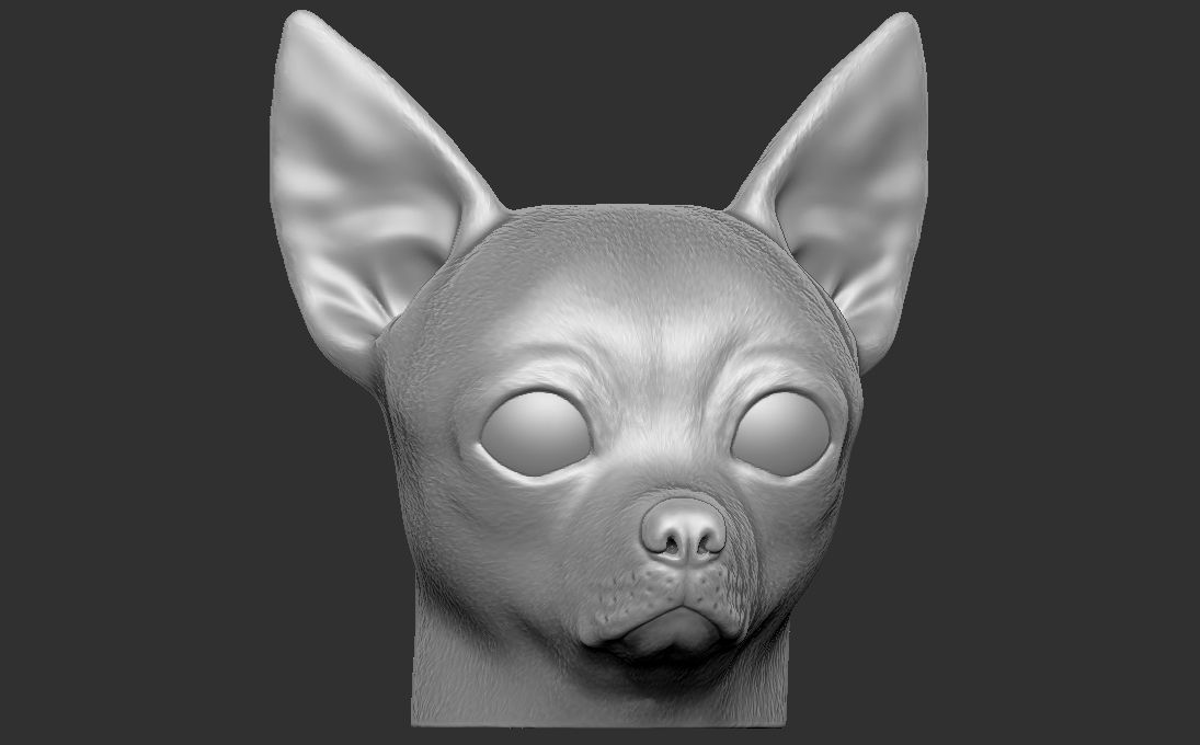 Chihuahua head for 3D printing 3D print model_3
