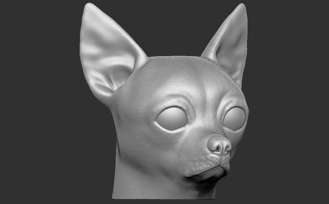 Chihuahua head for 3D printing 3D print model_2
