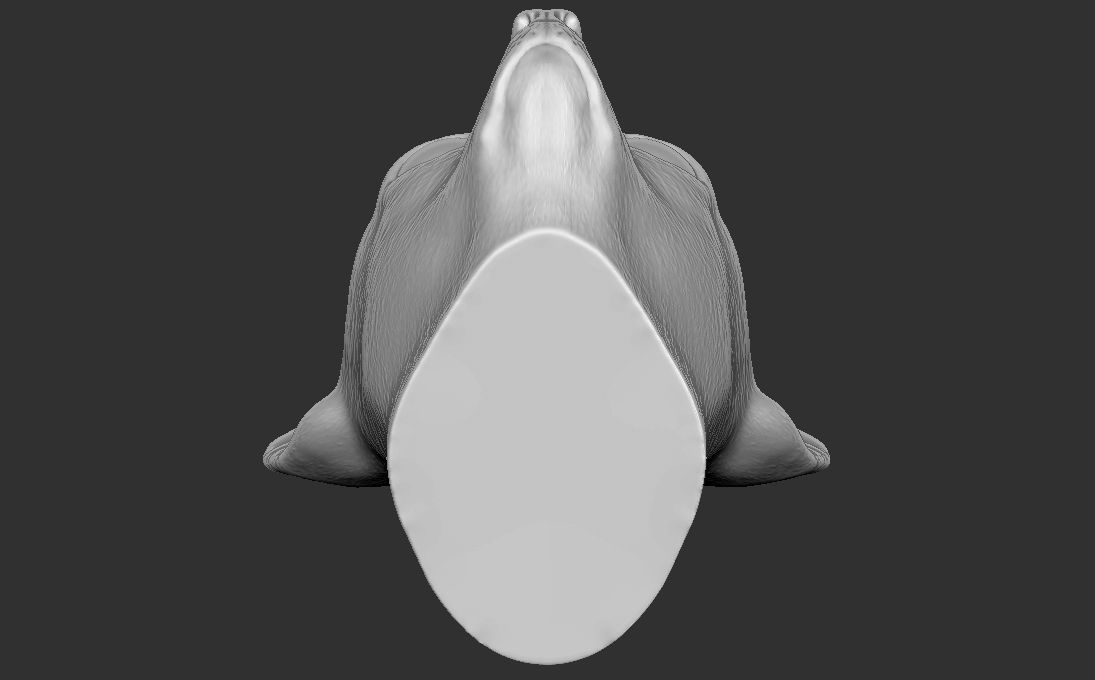 Chihuahua head for 3D printing 3D print model_23