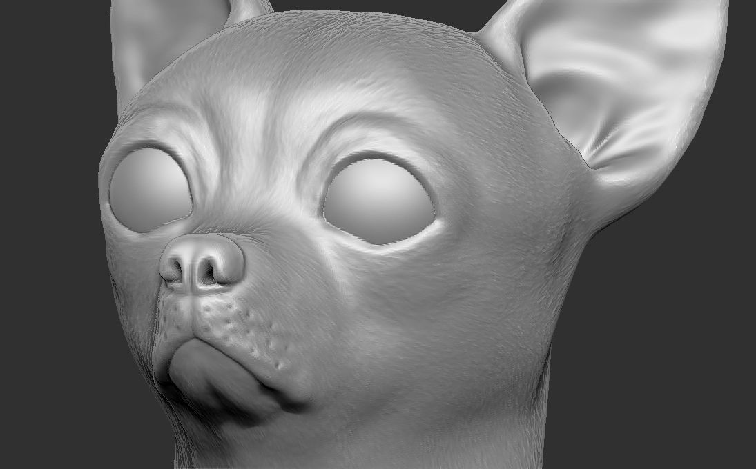 Chihuahua head for 3D printing 3D print model_19