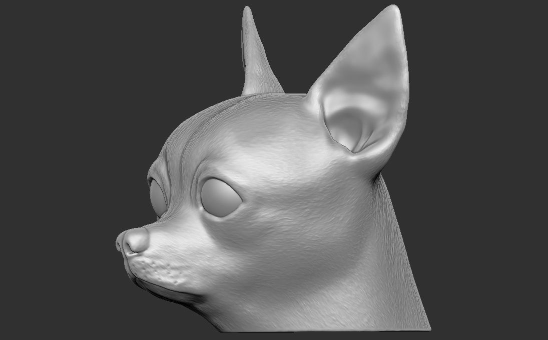 Chihuahua head for 3D printing 3D print model_8
