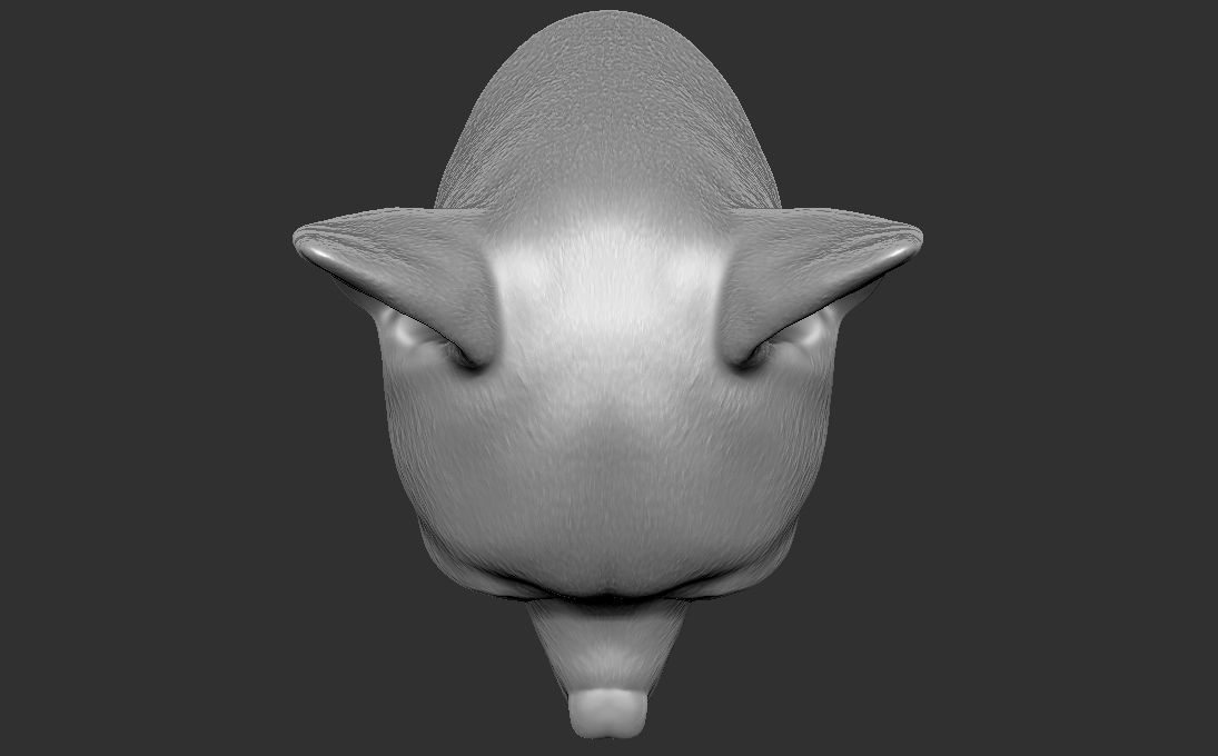 Chihuahua head for 3D printing 3D print model_22