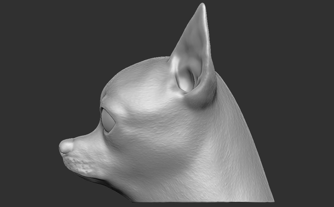 Chihuahua head for 3D printing 3D print model_9