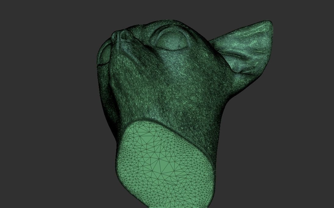 Chihuahua head for 3D printing 3D print model_26