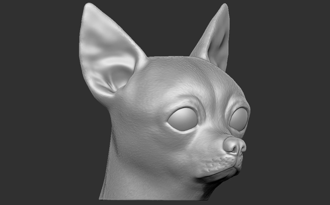 Chihuahua head for 3D printing 3D print model_1