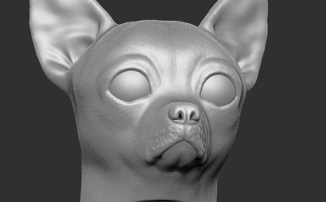 Chihuahua head for 3D printing 3D print model_18