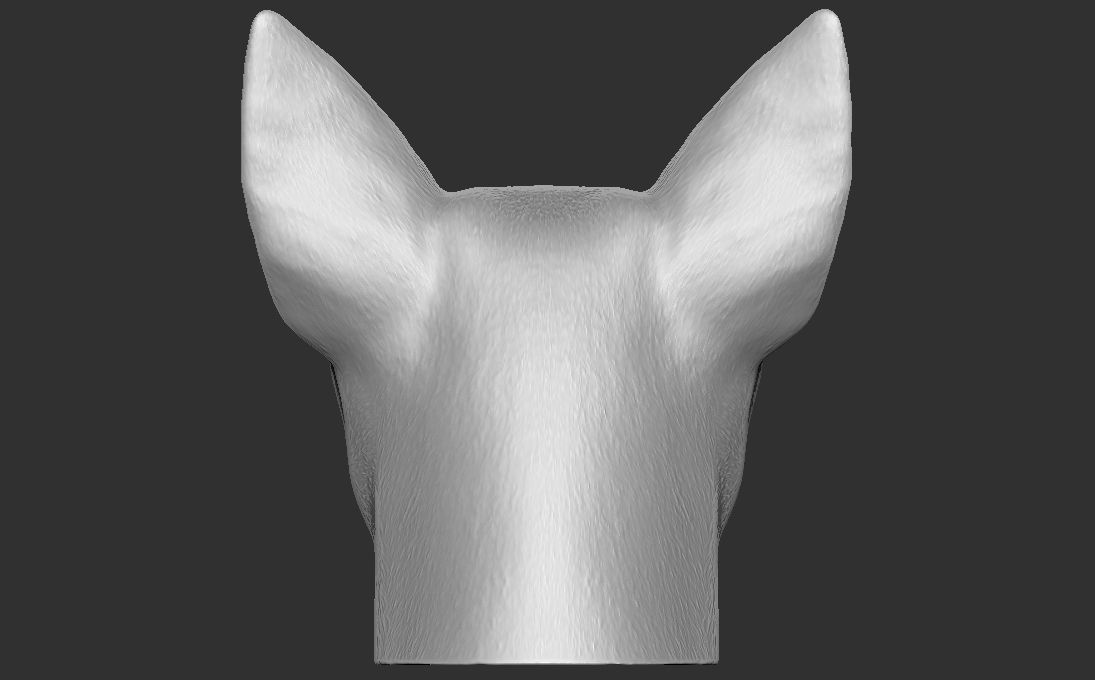 Chihuahua head for 3D printing 3D print model_12